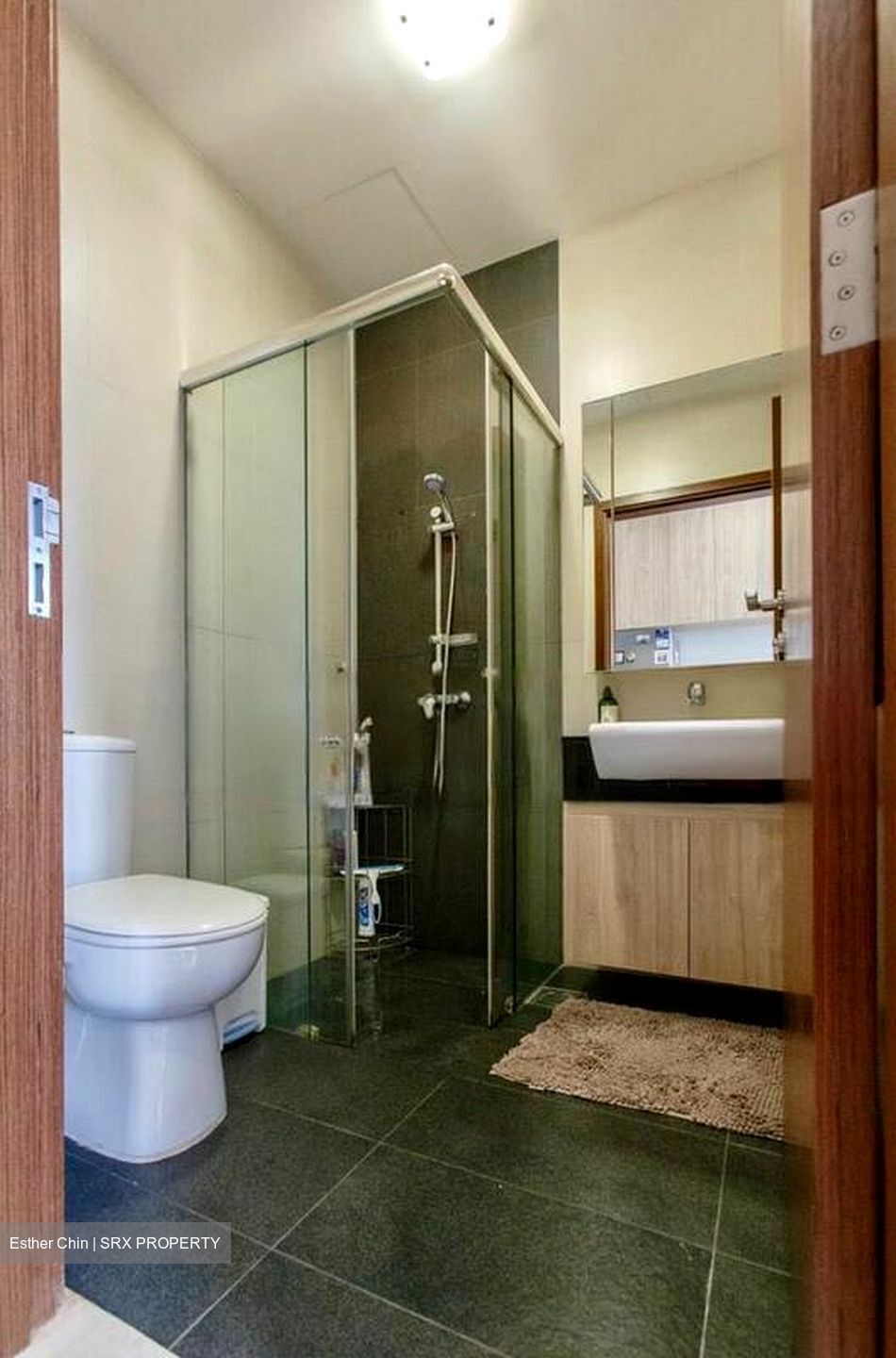 Parc Elegance (D15), Apartment #483047391